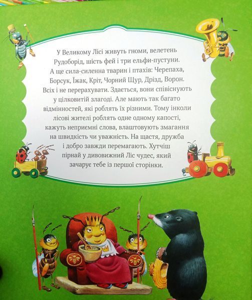 Ліс чудес 16849 фото