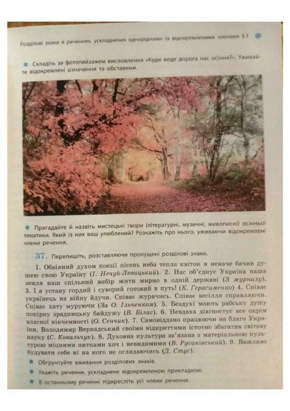 УКР МОВА 9 кл. ПІДРУЧНИК (Укр) Глазова О.П. Ф470101У фото