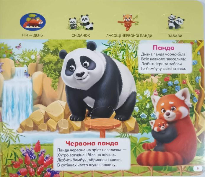 ХТО ЦЕ? Зоопарк 25140 фото