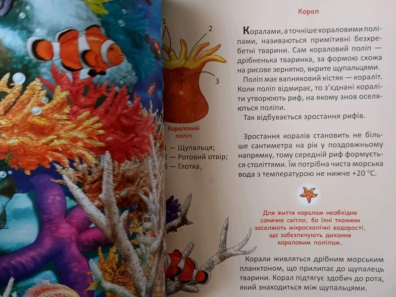 Підводний світ для малечі 11297 фото