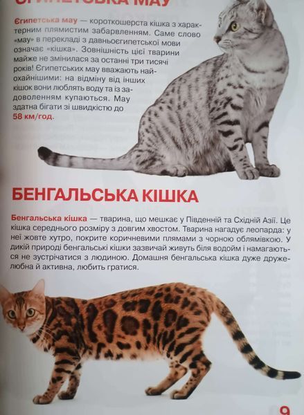Велика книжка. Кішки 23607 фото
