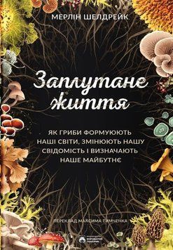 Заплутане життя 22867 фото