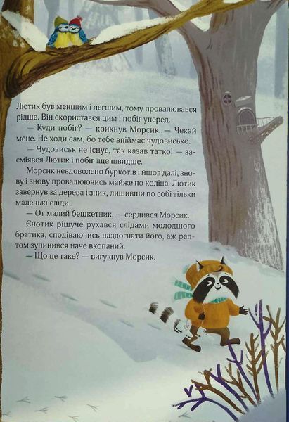 Різдвяний настрій єнотів-бешкетників, або як Морсик диво шукав 19187 фото