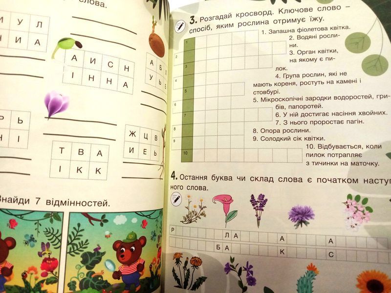Кросворди, ребуси, логічні завдання. 3 клас 16042 фото