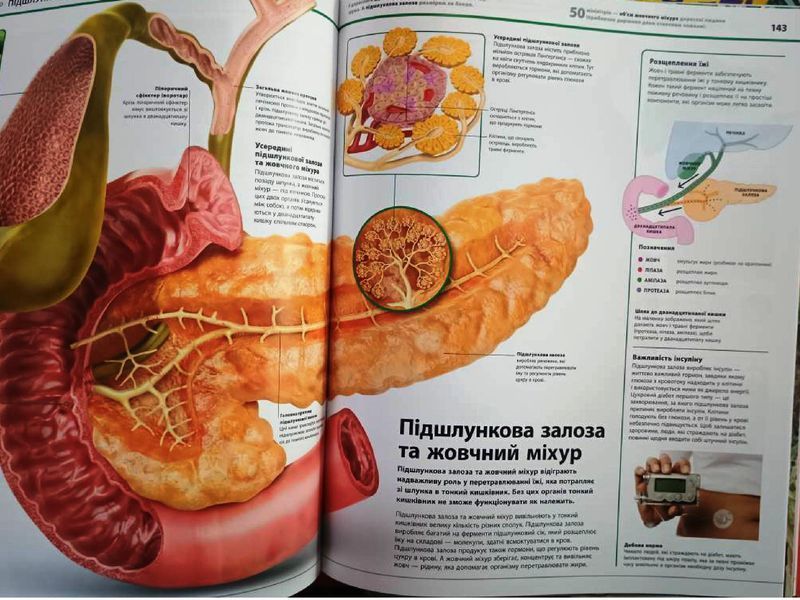 Енциклопедії DK: Енциклопедія знань. Тіло людини 21321 фото