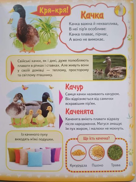 Моя перша книга.Про свійських тварин 7723 фото