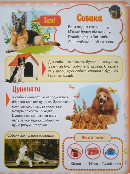 Моя перша книга.Про свійських тварин 7723 фото