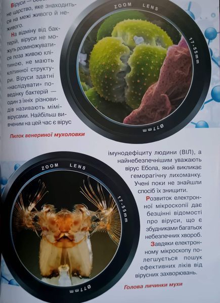 Велика книжка. Мікросвіт 23617 фото