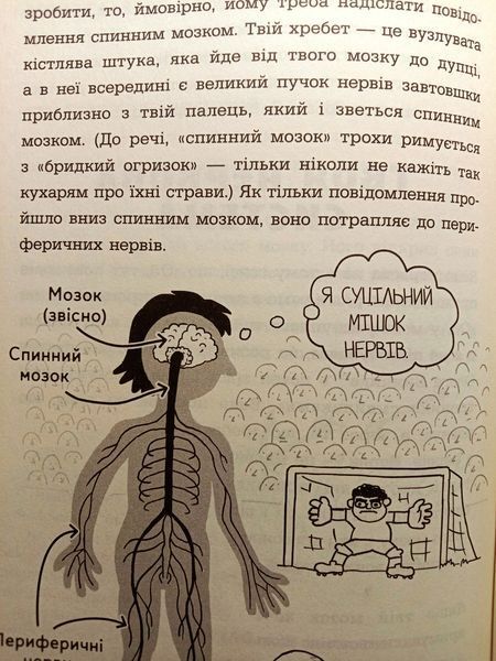 Анатомія для дітей 8698 фото