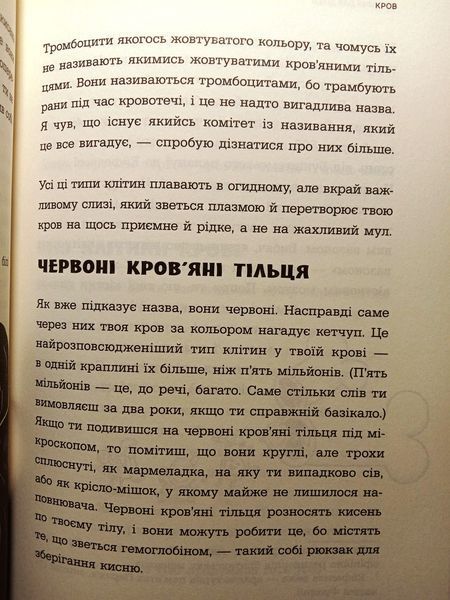 Анатомія для дітей 8698 фото