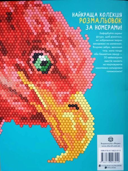 Кольоровий квест. ЗооДива (у) книга Z101107У фото