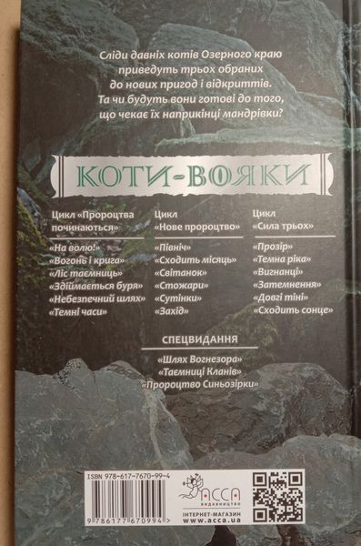 Сила трьох. Вигнанці. Книга 3 5760 фото