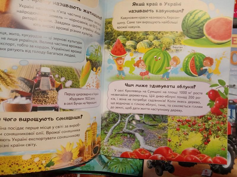 Енциклопедія. Україна. Україна-країна вільних і сильних! 12530 фото