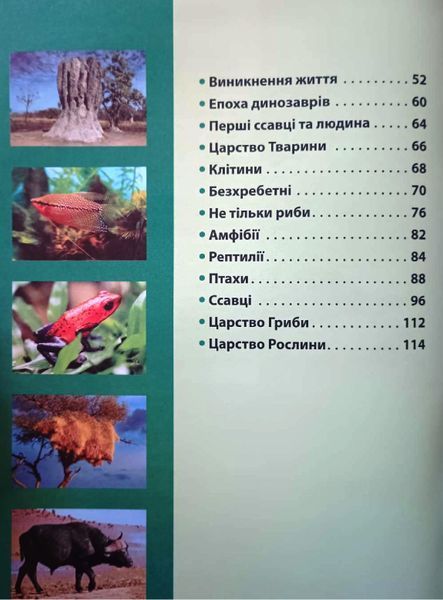 Енциклопедія необхідних знань школяра 9081 фото