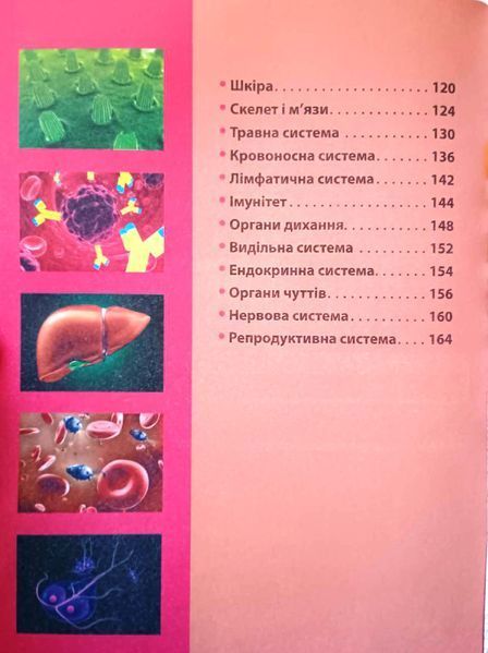 Енциклопедія необхідних знань школяра 9081 фото