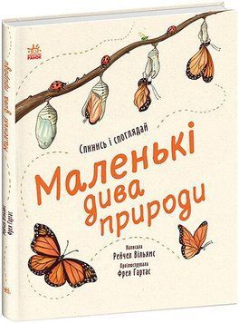 Маленькі дива природи 16626 фото