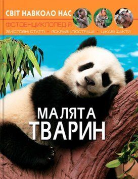 Світ навколо нас. Малята тварин 24240 фото