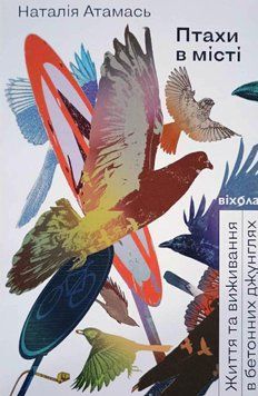 Птахи в місті. Життя та виживання в бетонних джунглях 15529 фото