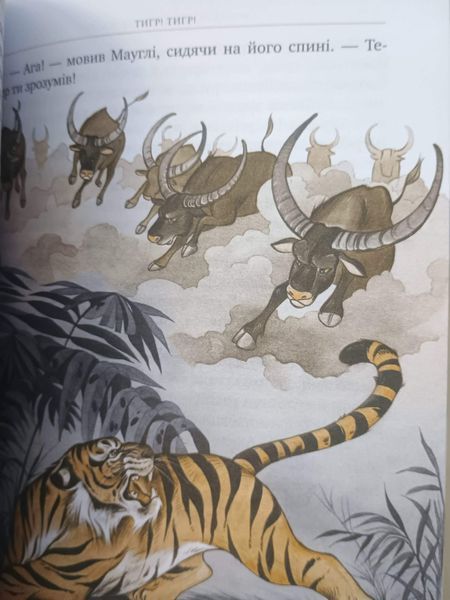 Мауглі 10739 фото